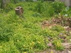 18.1 Perch Bare Land for Sale in Pitakotte CVVV-A3