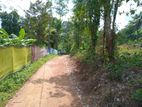 181.50 -Perch Land for Sale - Horana
