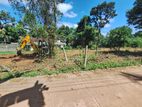 182 Perch Prime Residential Land for Sale in Minuwangoda
