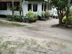 182 valuable land sale Kurana