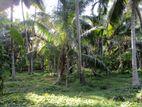 183 Perches Land for Sale in Weediyawatte, Gampaha.