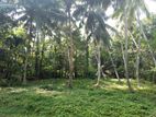 183 Perches Land for Sale in Weediyawatte Gampaha