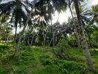 183 Perches Land for Sale in Weediyawatte, Gampaha.