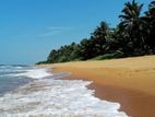184 Perches Land for Sale in Balapitiya adjacent to Kumu Beach)