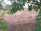 18.5 Perch Bare Land for Sale in Nugegoda – Gamshabaha CVVV –A1
