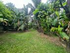 18.50P Residential Bare Land For Sale In Nawala