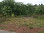 18.5P Land for sale in Weerasekara Mw, Thalawathugoda