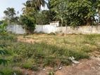 18.5P Prime Bare Land For Sale In Thalawathugoda