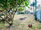 18.5perch main roda facing land for sale in poruthota, Negombo