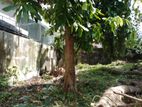 18.6 Perch Land for Sale on Ananda Balika Mawatha, Pita Kotte