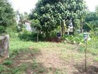 18.80P Land for Sale in Bogahawatta Road, Pannipitiya (SL 13836)