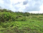 18P Land for Sale in Hikkaduwa (Tourist Area)