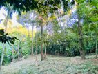 18P Land for Sale in Polgolla, Kandy (TPS2159)