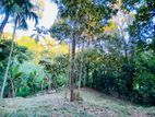 18P Land for Sale in Polgolla, Kandy (TPS2159)