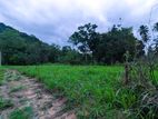 18P Land for Sale Wariyapola, Mahakeliya, Gangoda Road