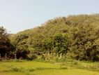 19 Acre Land Sale At Nebada Kaluthara