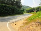19 Acre Land Sale At Nebada Kaluthara