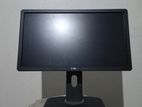 19" Dell Monitor