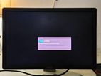 19 ich Dell Monitor