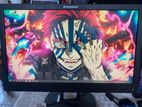 19 inch moniter