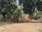 19 Perches Land For Sale In Piliyandala Bokundara .