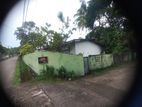 19 Perches land for sale with old house in Kandana (C7-6482)