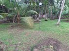 19 Perches Land Sale With House Colombo 7