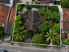 19 Perches land with old house for sale in Dehiwela (C7-10435)