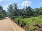 19 Perches of bare Land for Sale in Naula.