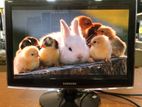 19’’ Wide LCD Monitor