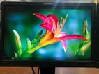 19’’ Wide LED Monitor