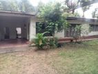 19.2 Perch Land with House for Sale Boralesgamuwa