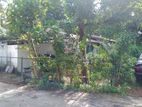 19.25P Land for Sale in Buthgamuwa Road, Rajagiriya (SL 13723)