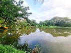 19.30 P Water Front Bare Land for Sale in Nawala