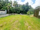 19.50P Residential Bare Land For Sale In Pannipitiya