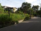 19.65P Land for Sale in Kurunduwatte Road, Pitakotte (SL 13882)