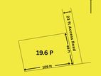 19.6P Prime Residential Land in Panadura | SL14763