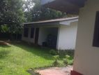 197 Perch Land with Houses for Sale in Wekwell, Galle