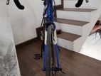 Giant Contend 2 Road Bike