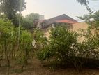 19.8P Bare Land for Sale in Delgaswatta Road, Hokandara (SL 14150)