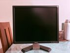 Dell 19 inch Monitor