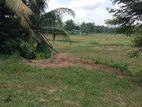 19P Scenic Paddy Facing Land for sale in Welivita Road, Malabe
