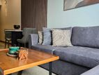 1BR Apartment for Sale Trizen, Colombo 02