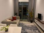 1BR TriZen Fully Furnished Apartment for Rent -colombo 02