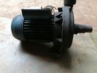 1'x1 Water Pump