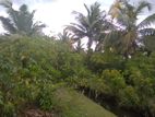 2 Acre Land at Weligama, Midigama for Sale.