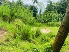 2-Acre Land for Sale – Beliatta