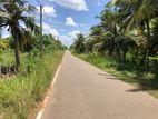2 Acres Coconut Land for Sale in Anamaduwa