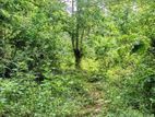 2 Acres Land For Sale ඉඩමක් විකිණීමට - Monaragala