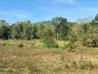 2 Acres Land for sale in Dambulla